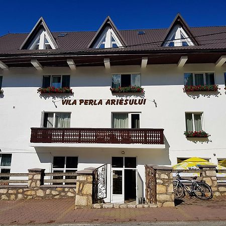 Pensiunea Perla Ariesului Albac Exterior foto