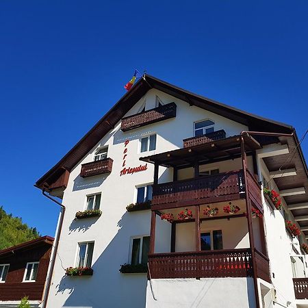 Pensiunea Perla Ariesului Albac Exterior foto