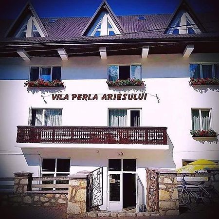 Pensiunea Perla Ariesului Albac Exterior foto