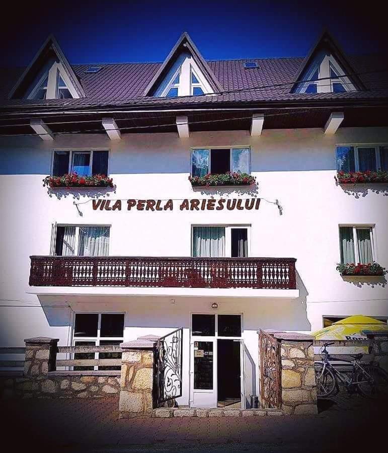 Pensiunea Perla Ariesului Albac Exterior foto