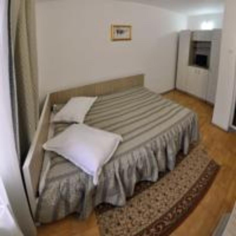 Pensiunea Perla Ariesului Albac Exterior foto